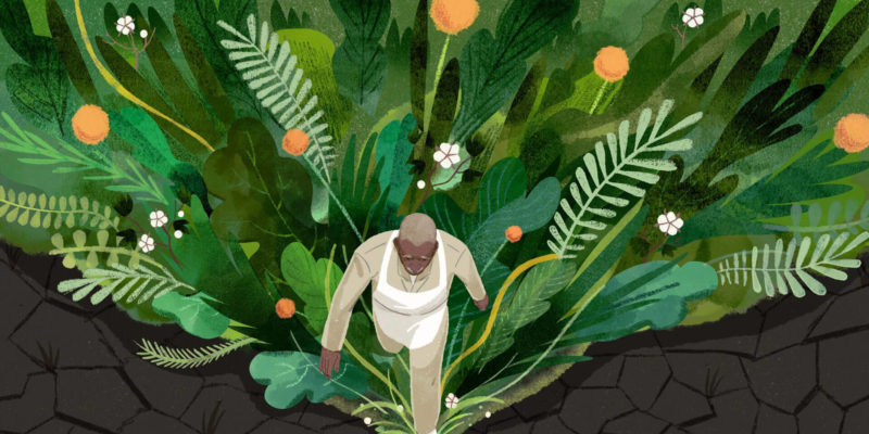 aerial view illustration depicting George Washington Carver walking through a lush field of vegetation and stepping into a dry cracked desert